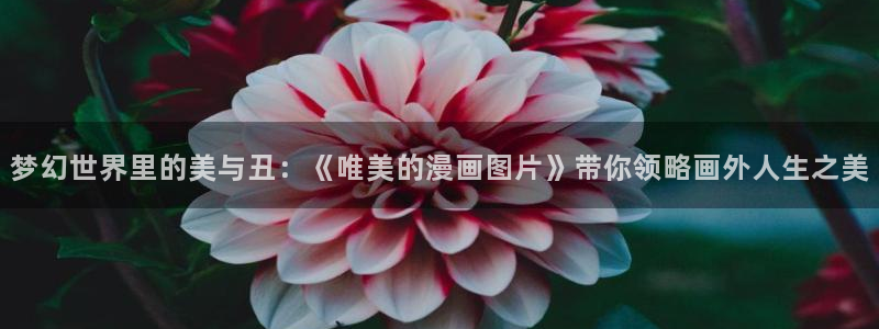 51漫画 生肉网站：梦幻世界里的美与丑：《唯美的漫画图片》带你领略画外人生之美