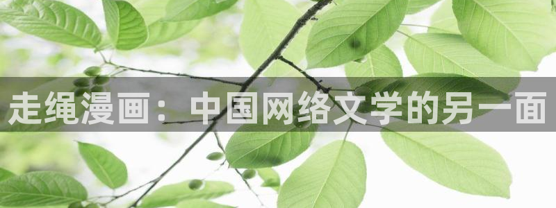 51漫画未删减免费看：走绳漫画：中国网络文学的另一面
