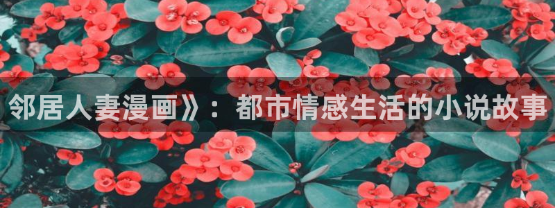 第一51漫画网页：邻居人妻漫画》：都市情感生活的小说故事