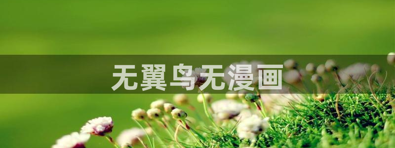 最新51漫画网址：无翼鸟无漫画