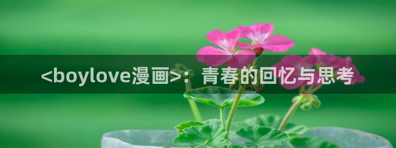 51漫画下班路上捡到蛇漫画：<boylove漫画>：青春的回忆与思考