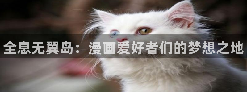 韩国漫画51漫画免费：全息无翼岛：漫画爱好者们的梦想之地