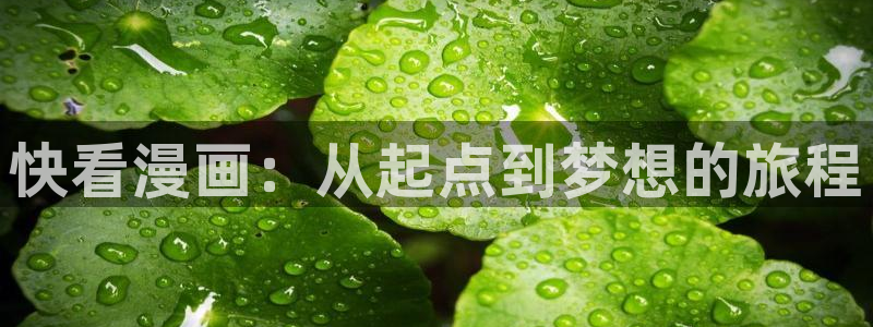 3d123.ccf51漫画画：快看漫画：从起点到梦想的旅程