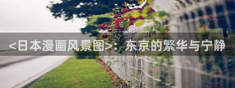 51漫画污免费观看：<日本漫画风景图>：东京的繁华与宁静