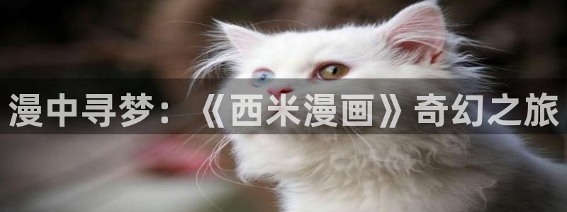 蛙漫51漫画官网入口：漫中寻梦：《西米漫画》奇幻之旅