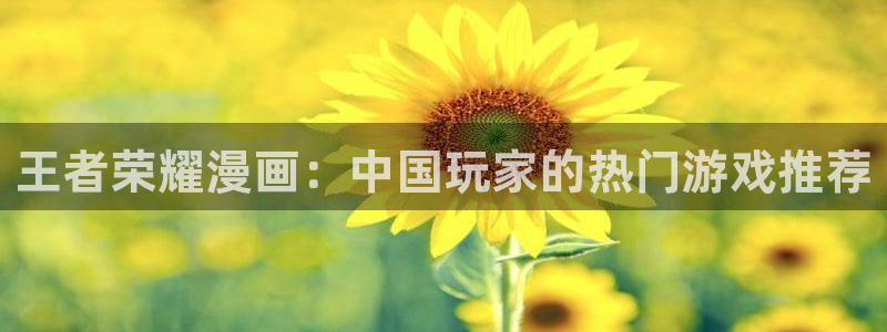 51漫画网站免费阅读看漫画下拉：王者荣耀漫画：中国玩家的热门游戏推荐