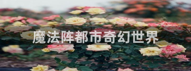 漫画免费阅读51漫画：魔法阵都市奇幻世界